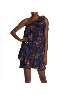 Parker Women's Black and Navy Dress